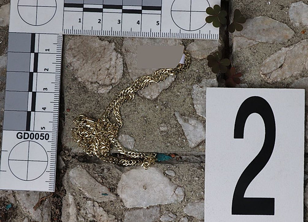 Vyloupil zlatnictví, pak přespal na cizím balkoně. Lupiče tam vzbudila policie