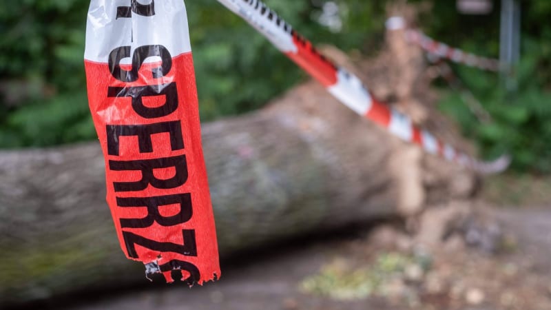 Na stan táborníků v Německu spadl strom: Zemřela mladá žena, další se zranila