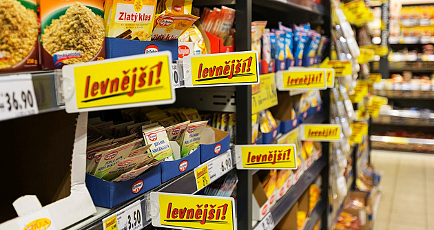 Čechy trápí vysoké náklady na bydlení, šetří na jídle i energiích, ukázal průzkum