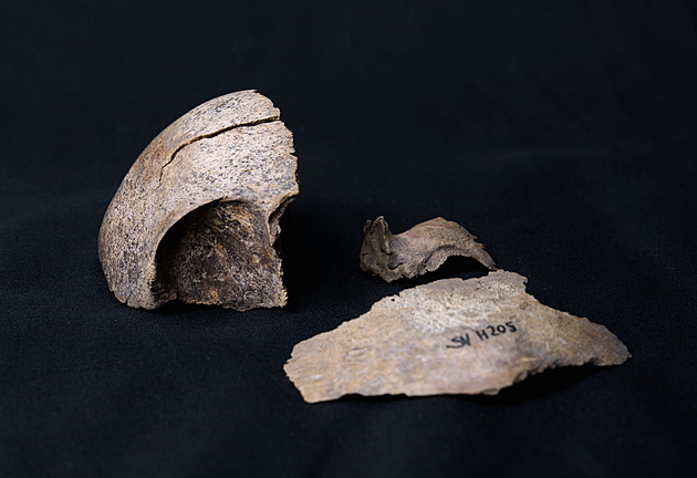 Příliš nebojovali a rychle se „přiženili“. Jak si Slované podmanili Evropu