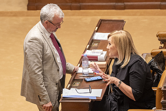 Poslanci rozhodují o benefitech zaměstnanců. Tentokrát bez boje o mikrofon