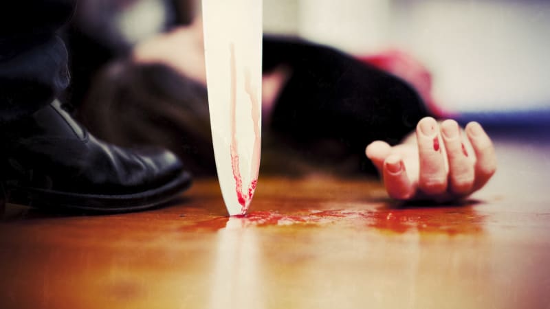 Brutální vražda ukrajinské uprchlice v USA: Útočníkovi hrozí trest smrti