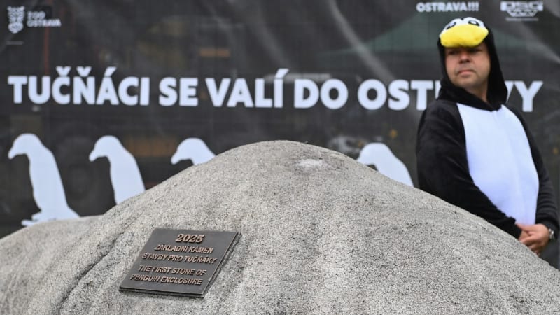 Tučňáci brýloví dostanou v Ostravě nový domov. Stavět se má za 120 milionů po dobu dvou let