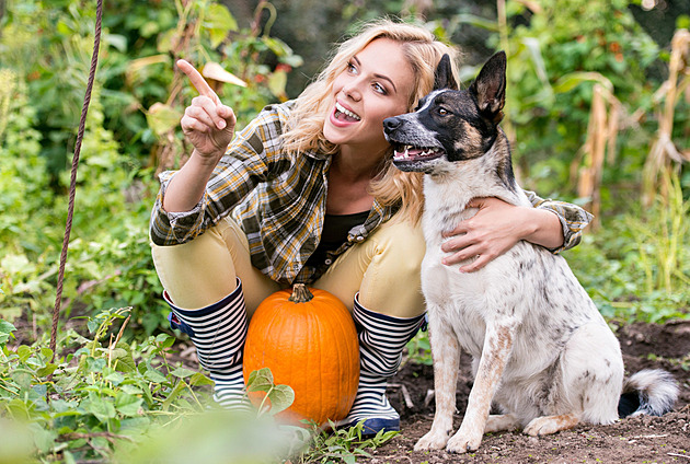 Udělejte si ze zahradních prací terapii, podzim na zahradě pohladí duši