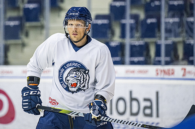 Šimek se zranil, přijde o olympiádu? A kdo by ho mohl v české obraně nahradit?