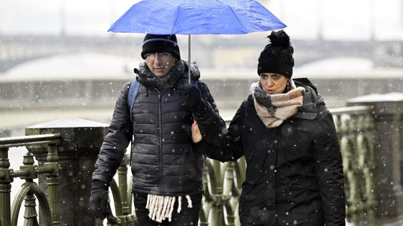 Česko čeká „psí“ víkend. Hrozí deště, mlhy i sněžení. Podívejte se na RADAR, jak bude u vás