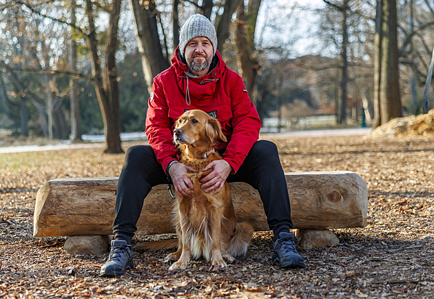 Psi ve městě mívají paradoxně lepší život než ti na vesnici, říká odborník