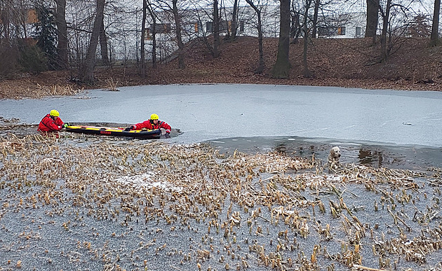 Pod psem se na rybníku prolomil led. Záchrana dorazila s paddleboardem