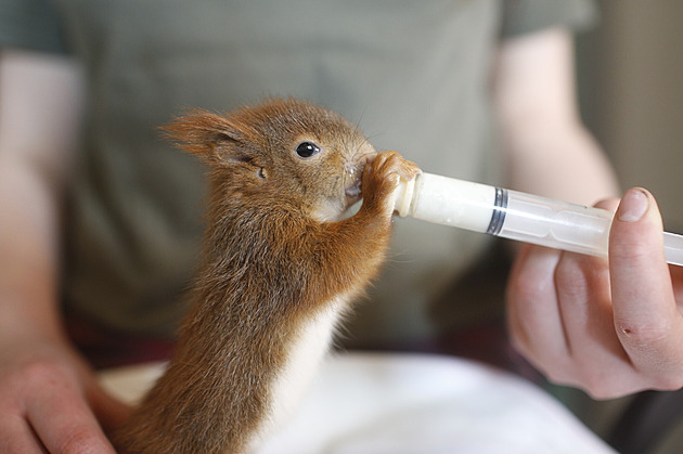 Hlasujte pro dobrou věc. Které projekty podpoří ČSOB pomáhá regionům?