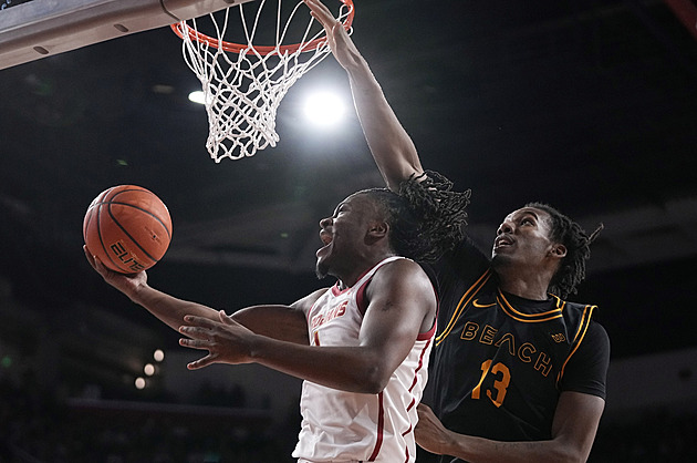 Sluneta přivedla pod koš Polynice. Jeho táta v NBA odehrál přes tisíc zápasů