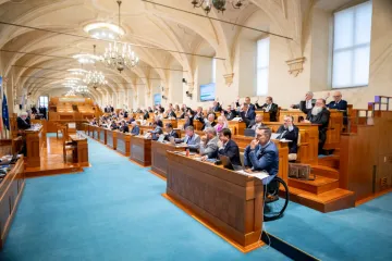 Senát schválil nižší počet vojáků bránící východní křídlo NATO