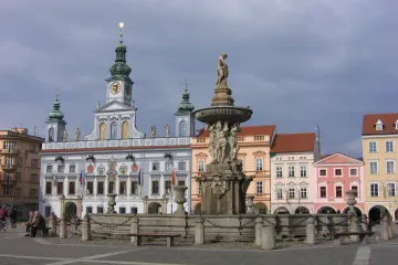 V Českých Budějovicích podle propočtu vyhrálo Naše Česko