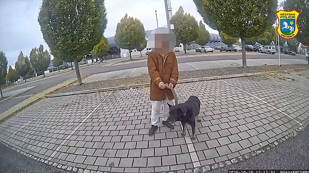 Teenager ukradl z cizí zahrady psa. Byl tam sám, vysvětloval strážníkům