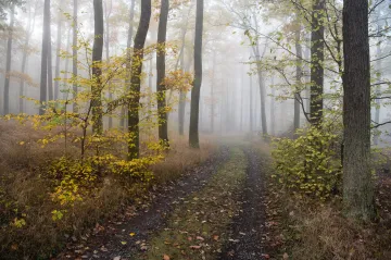 O víkendu se v Česku ochladí, na horách může sněžit